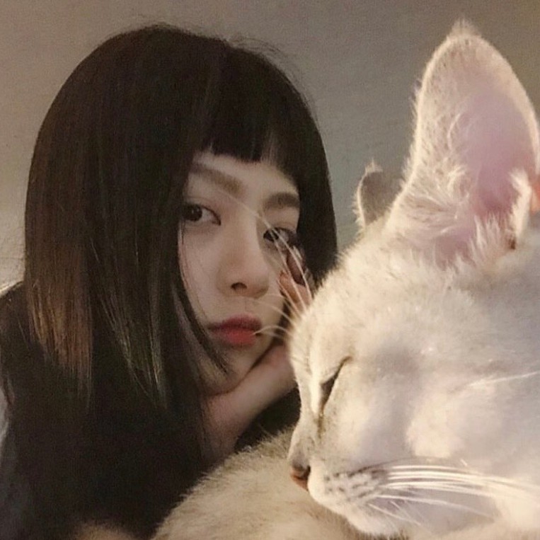 全方位創意包膜